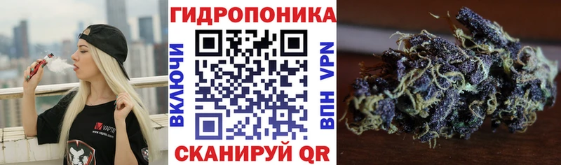 маркетплейс официальный сайт  Елизаветинская  Каннабис Amnesia  дарнет шоп  hydra сайт 